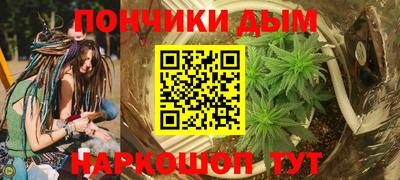 PSILOCYBIN Камышлов