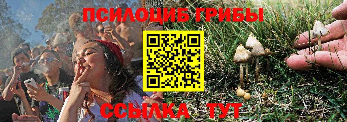 Псилоцибиновые грибы Cubensis Биробиджан