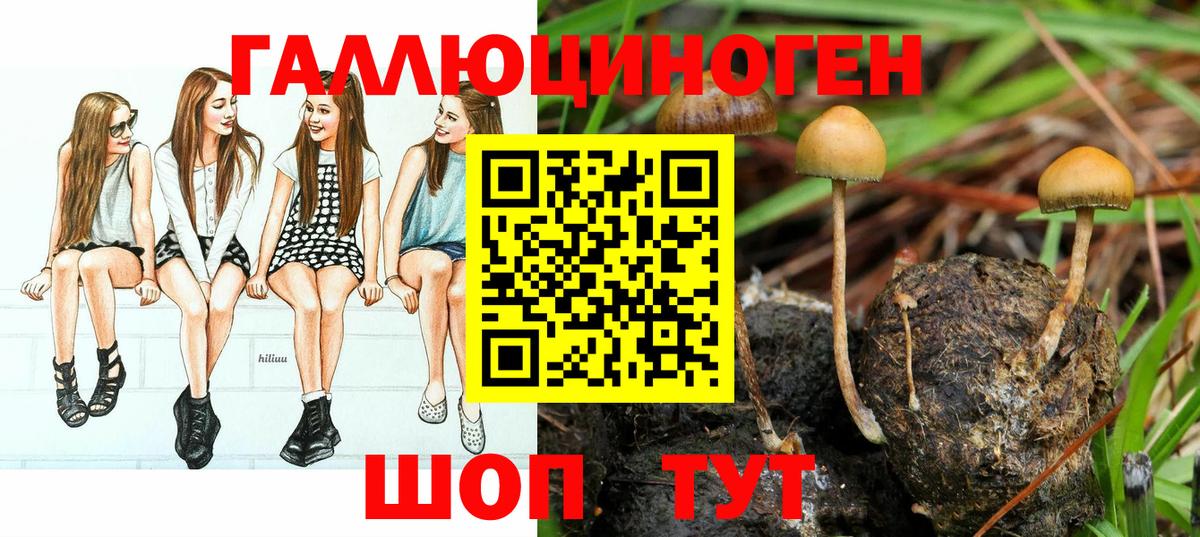 Псилоцибиновые грибы Magic Shrooms  Вход с VPN  где найти   Псилоцибиновые грибы прущие грибы  Биробиджан 
